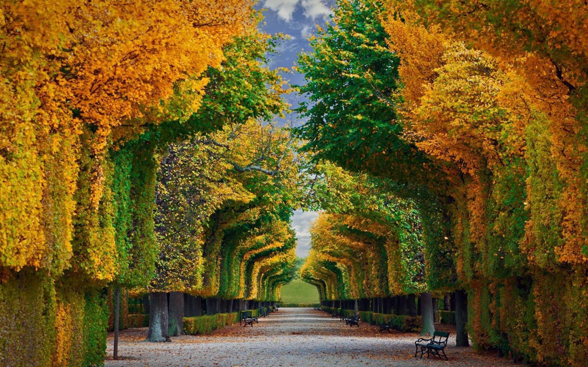 Regal Retreat Intimate Elegance Near Schoenbrunn Palace Wiedeń Zewnętrze zdjęcie